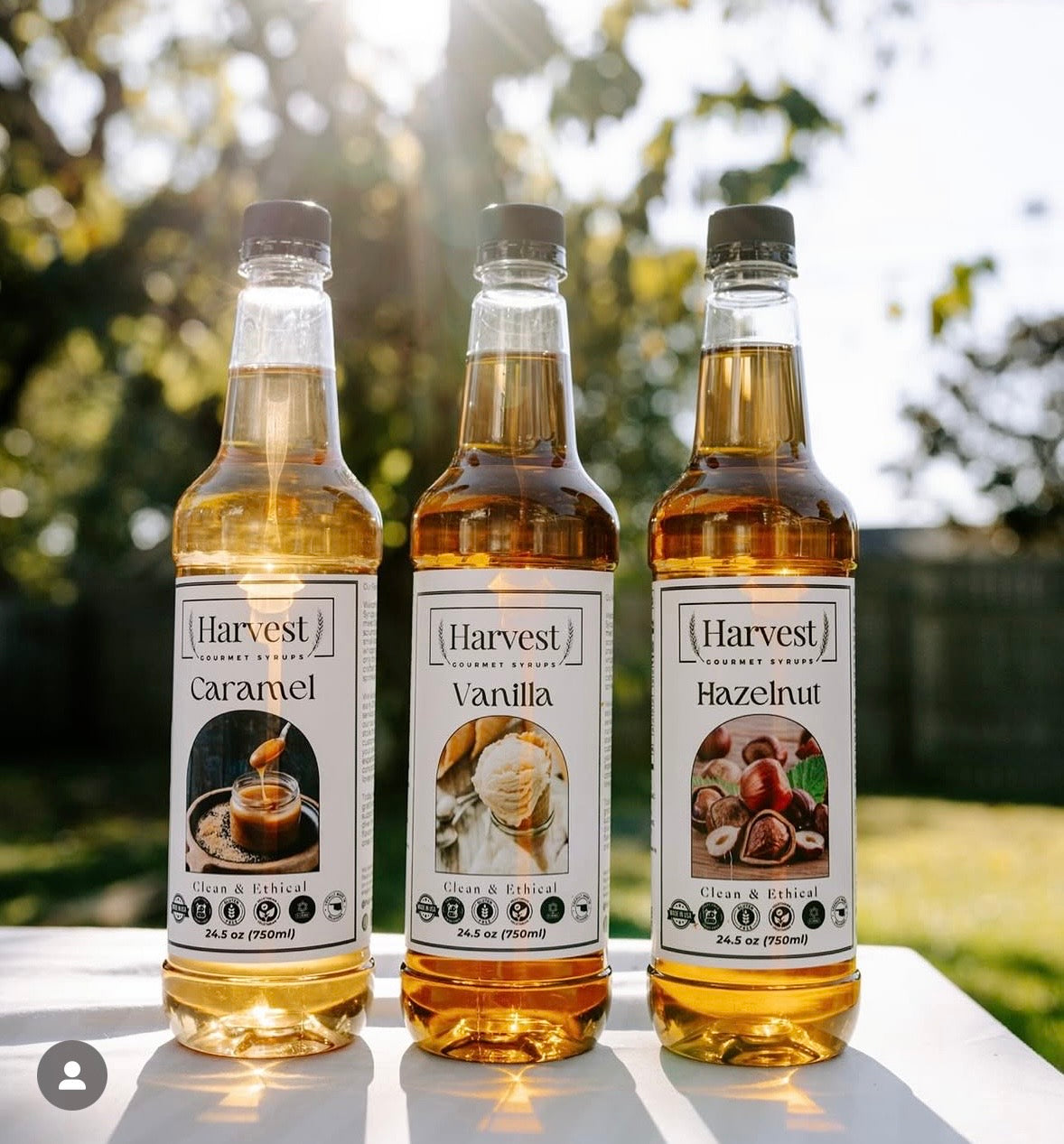 Café Classic Syrup 3-Pack | Vanilla, Caramel & Hazelnut | Harvest Syrups